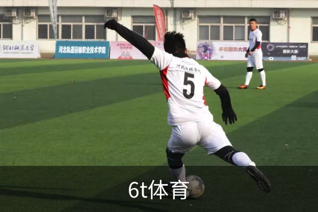6t体育公司环境